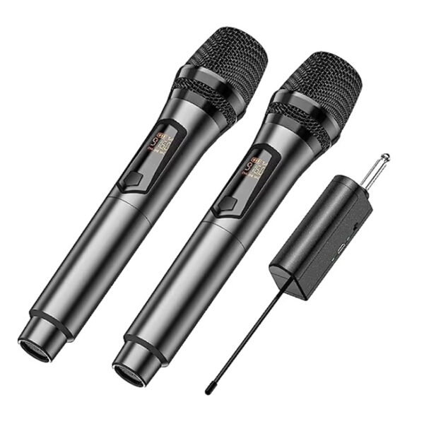 TTD-M12 WIRLESS 2 MICROPHONE