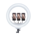 Plokama Live-R56 560mm Soft LED Ring Light – Perfect Studio Lighting